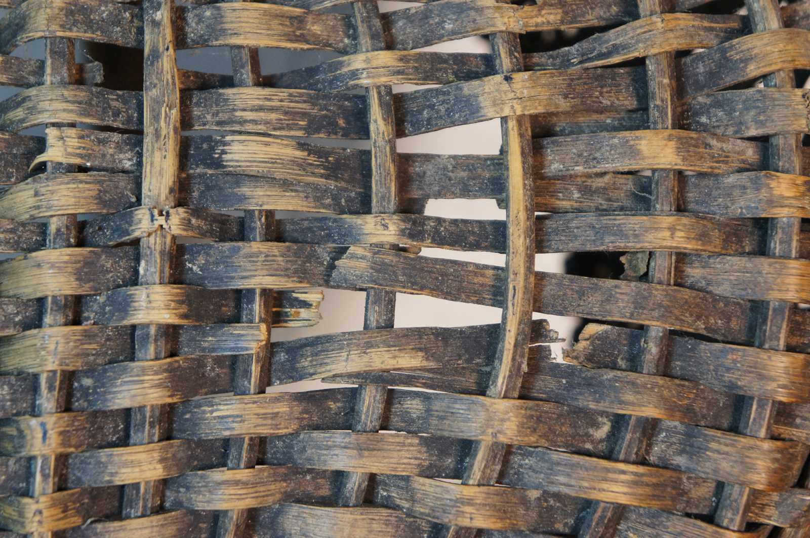 What's the Difference Between Wicker and Rattan?